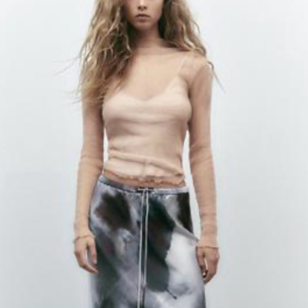 Zara Nude Sheer top - sparkly